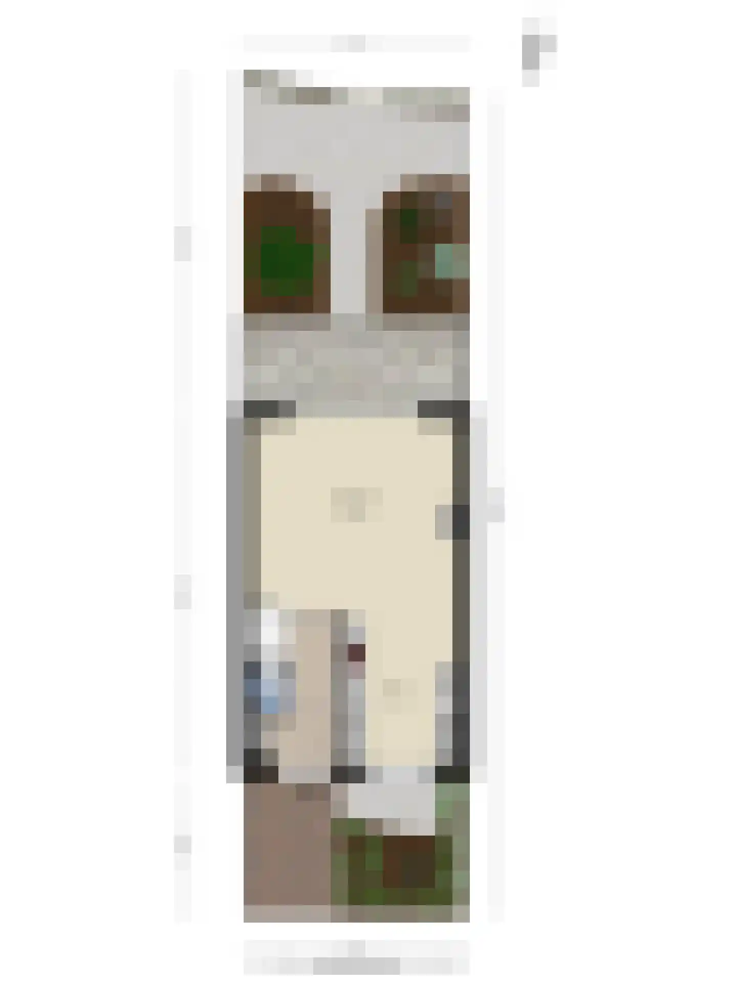 Het Blazoen 8 Heerhugowaard thumbnail 52