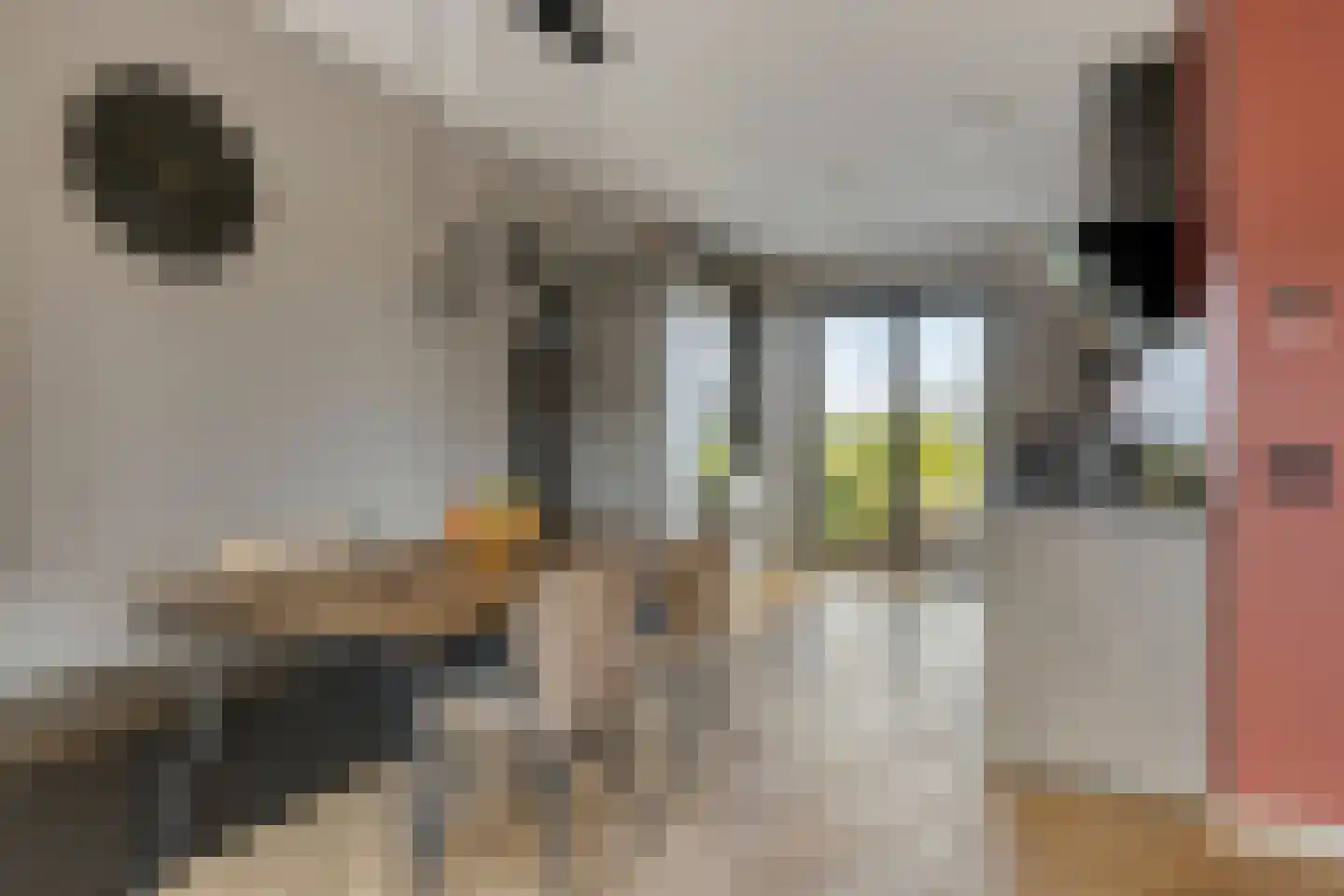 Het Blazoen 8 Heerhugowaard thumbnail 6