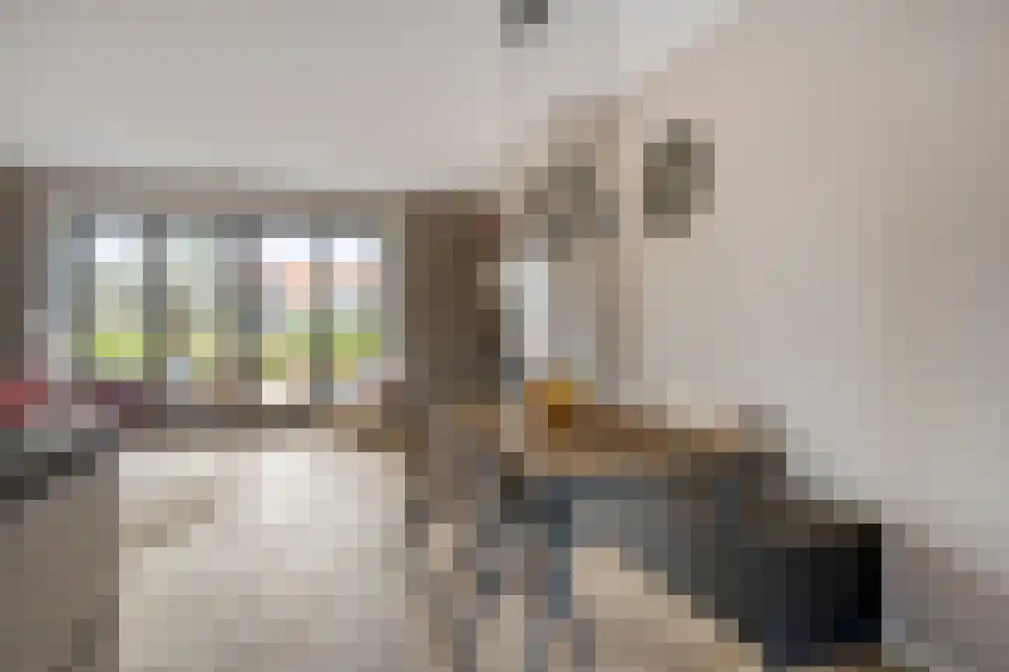 Het Blazoen 8 Heerhugowaard thumbnail 9