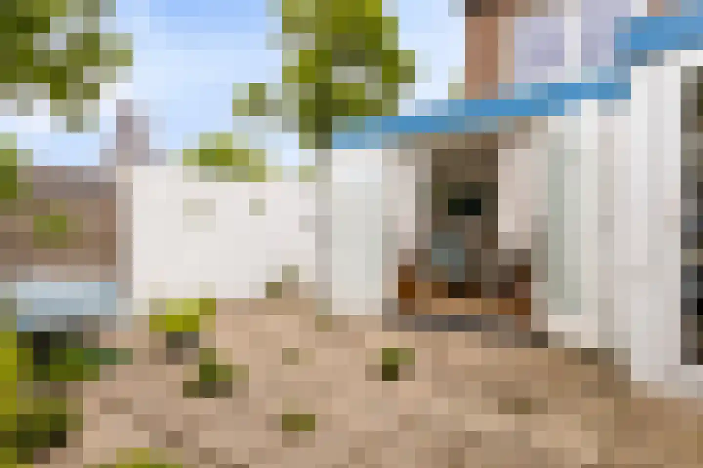 Het Bleekveld 1 Heiloo thumbnail 19