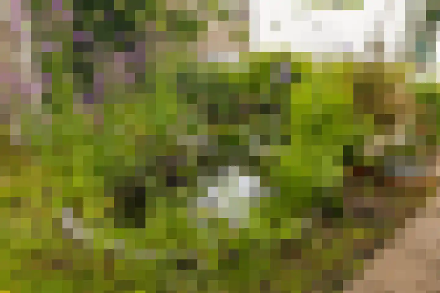 Het Bleekveld 1 Heiloo thumbnail 31