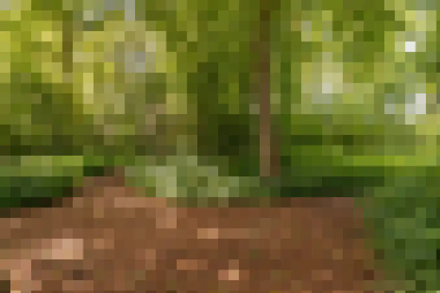 Het Bleekveld 1 Heiloo thumbnail 35