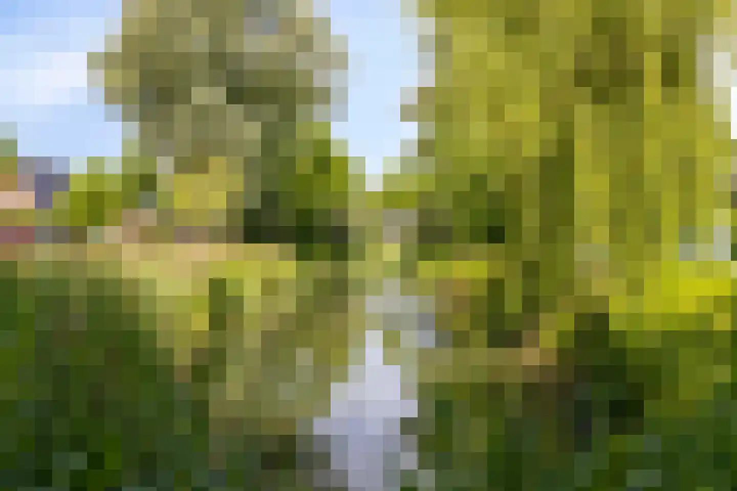 Het Bleekveld 1 Heiloo thumbnail 36