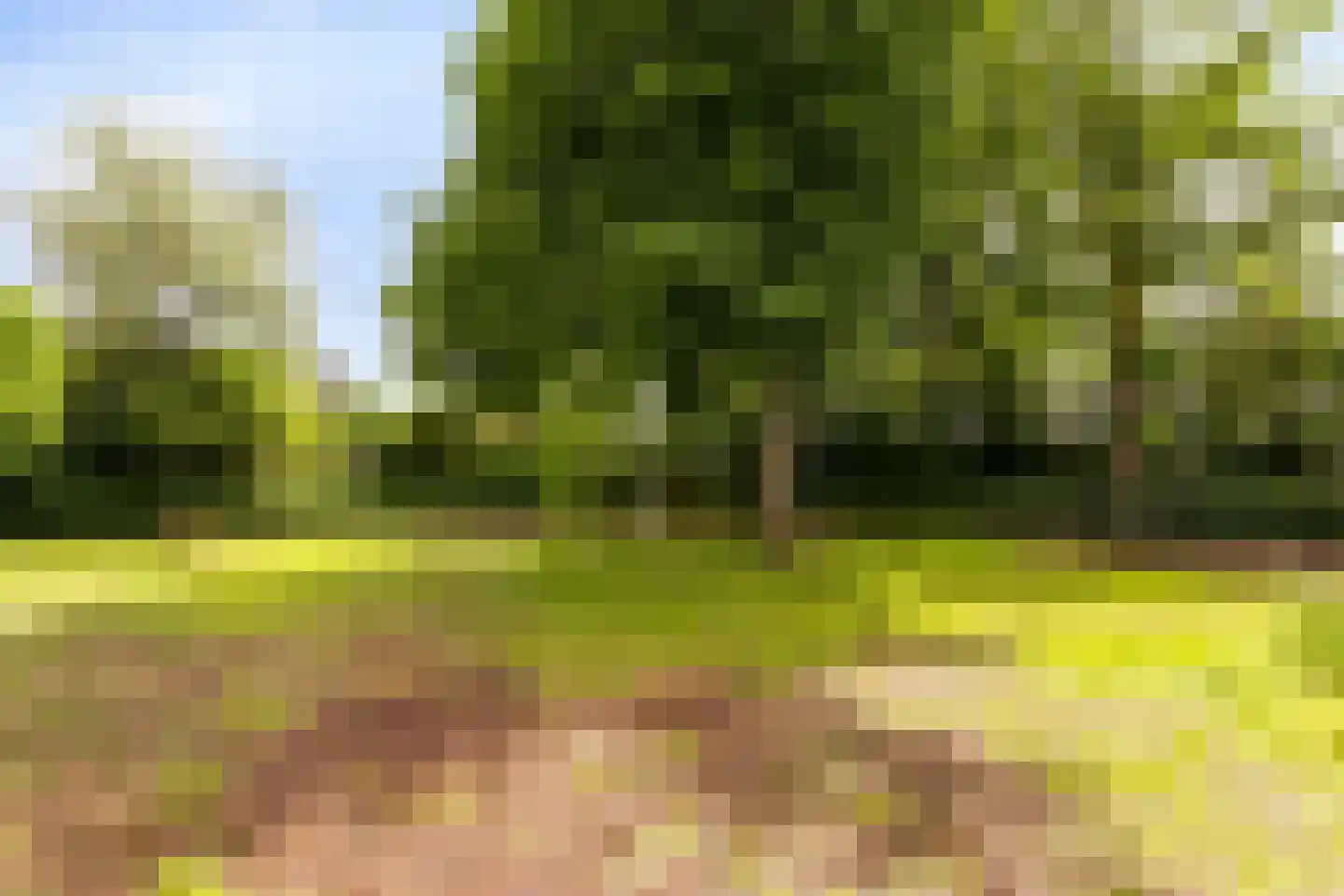 Het Bleekveld 1 Heiloo thumbnail 37