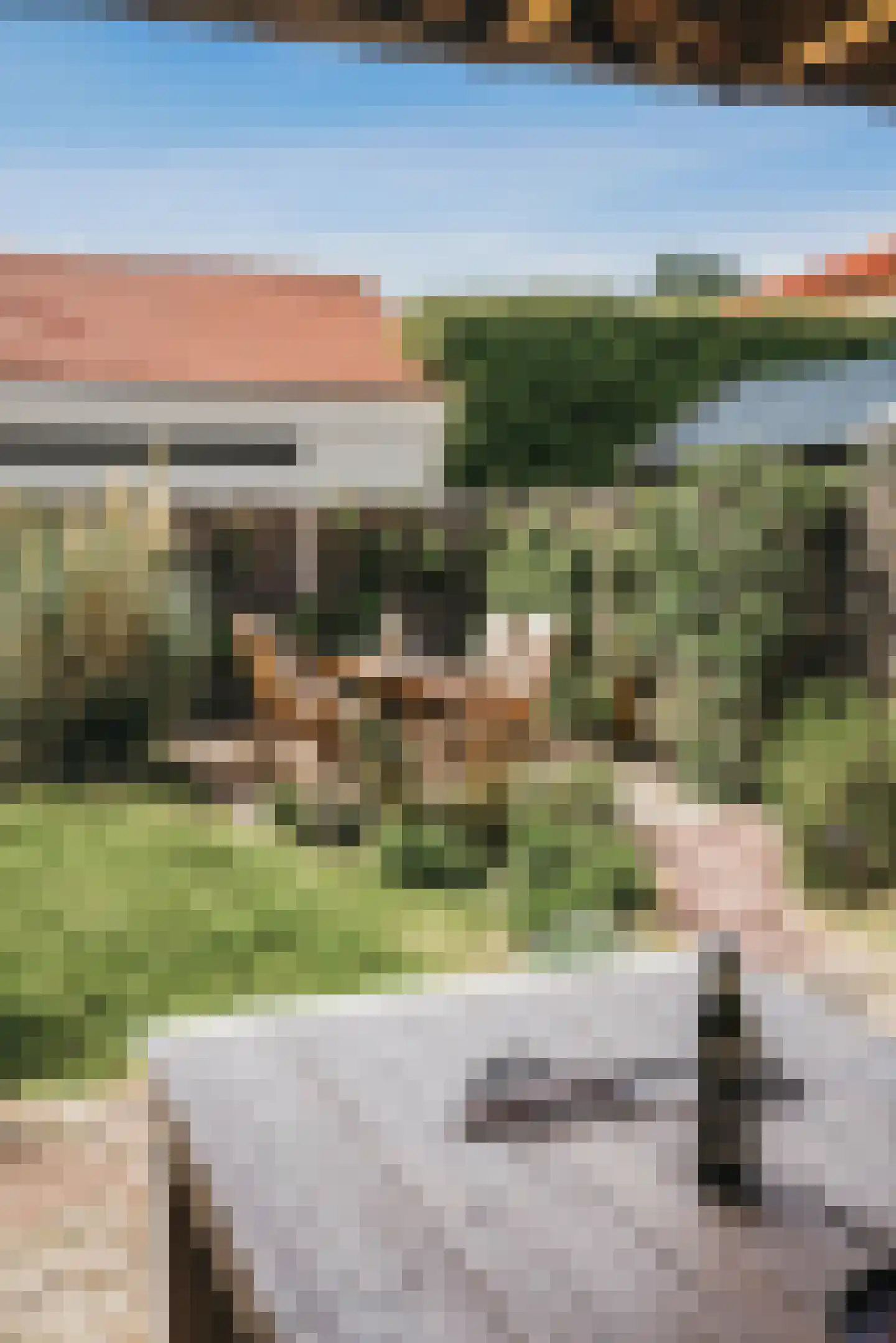 Het Bleekveld 11 Heiloo thumbnail 25