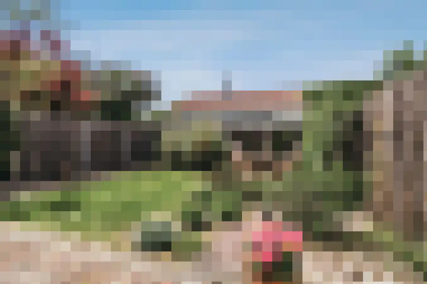 Het Bleekveld 11 Heiloo thumbnail 29