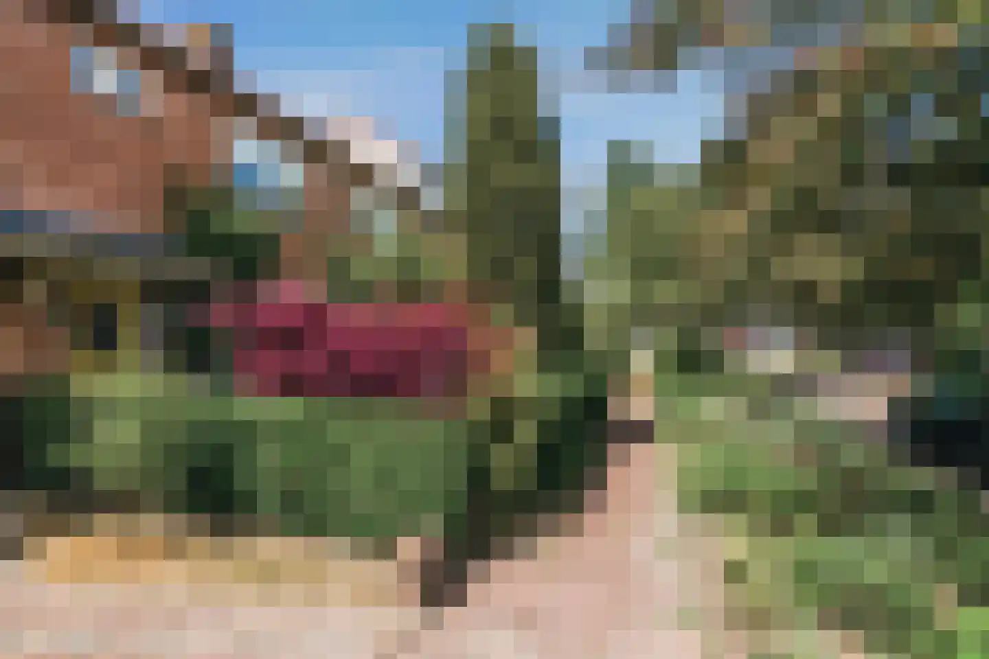 Het Bleekveld 11 Heiloo thumbnail 53