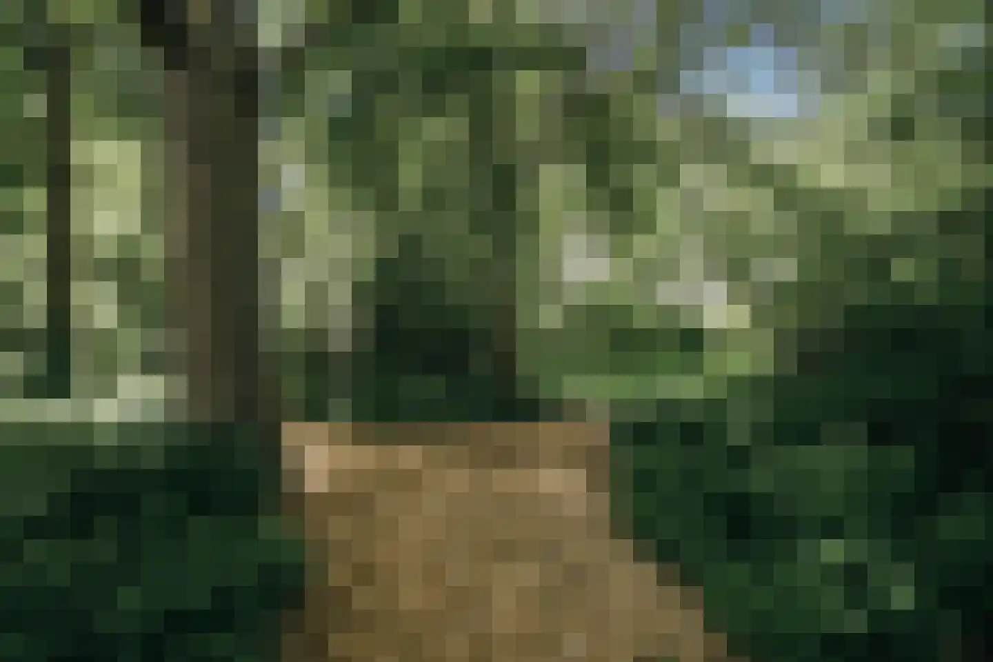Het Bleekveld 11 Heiloo thumbnail 56