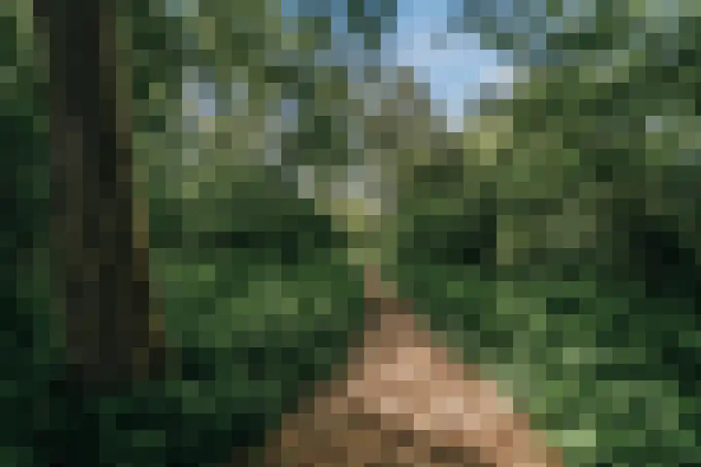 Het Bleekveld 11 Heiloo thumbnail 57