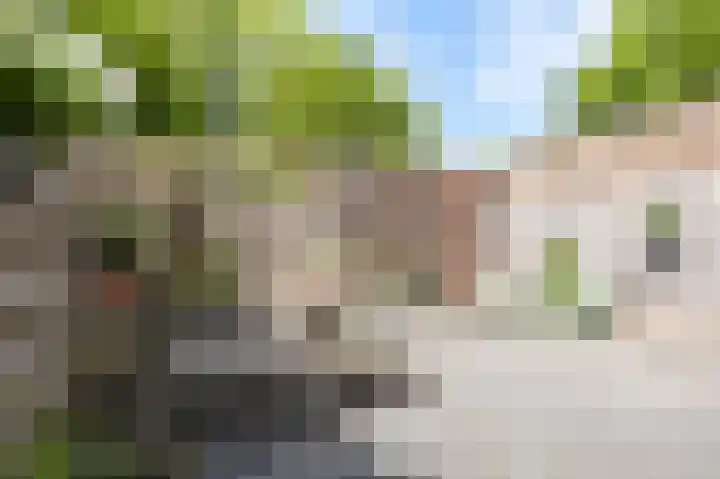 het Bleekveld 18 Oostwold thumbnail 33