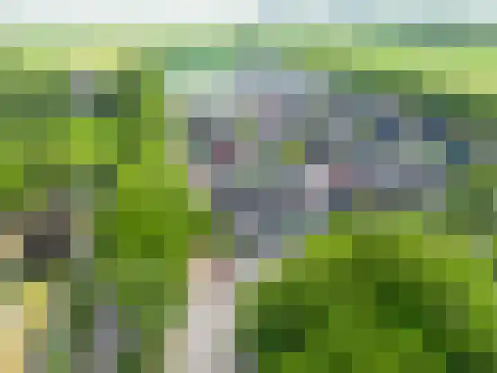 het Bleekveld 18 Oostwold thumbnail 37
