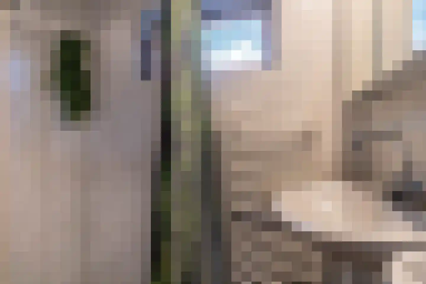 Het Bleekveld 22 Heiloo thumbnail 23