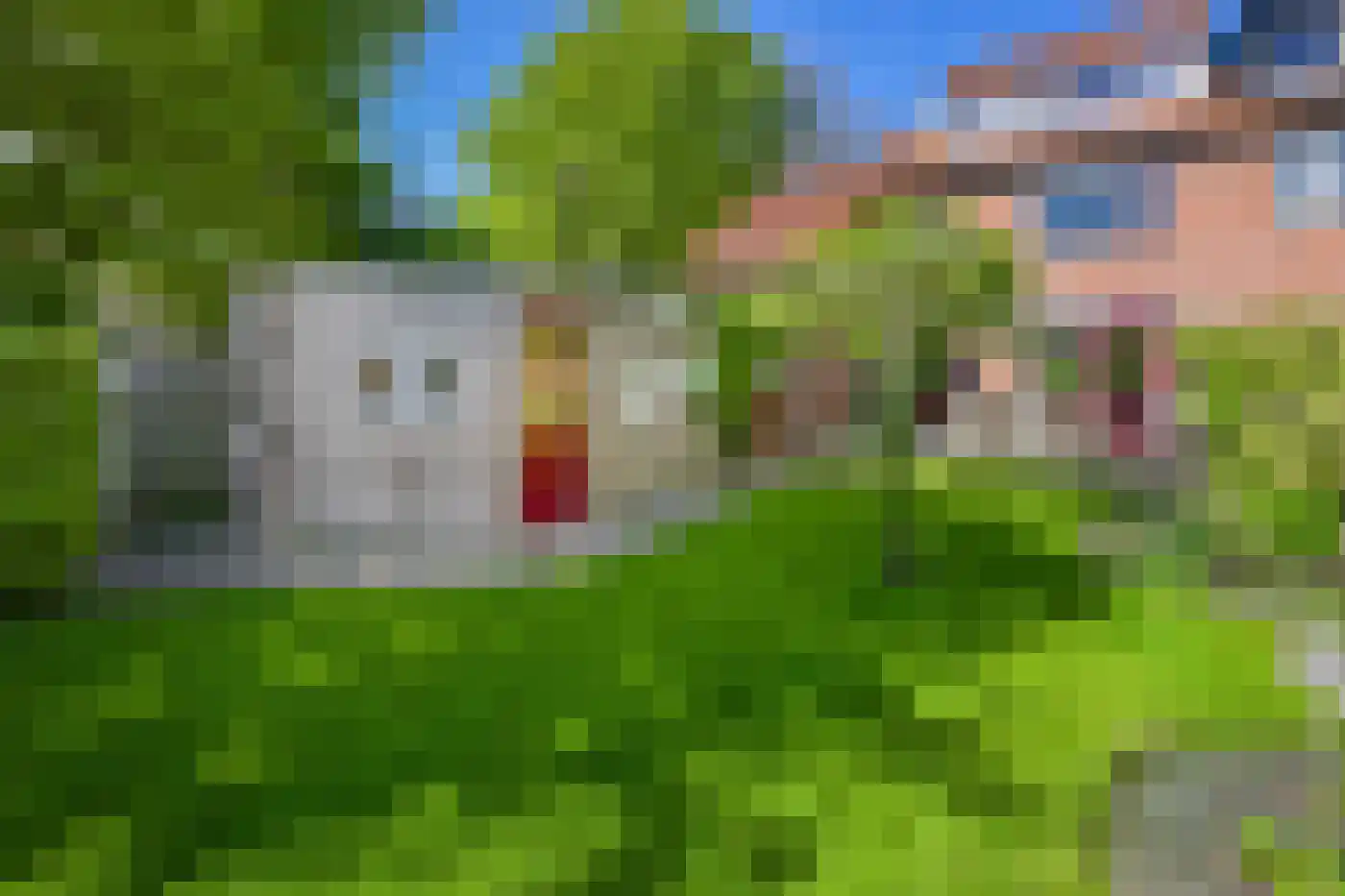 Het Bleekveld 22 Heiloo thumbnail 30