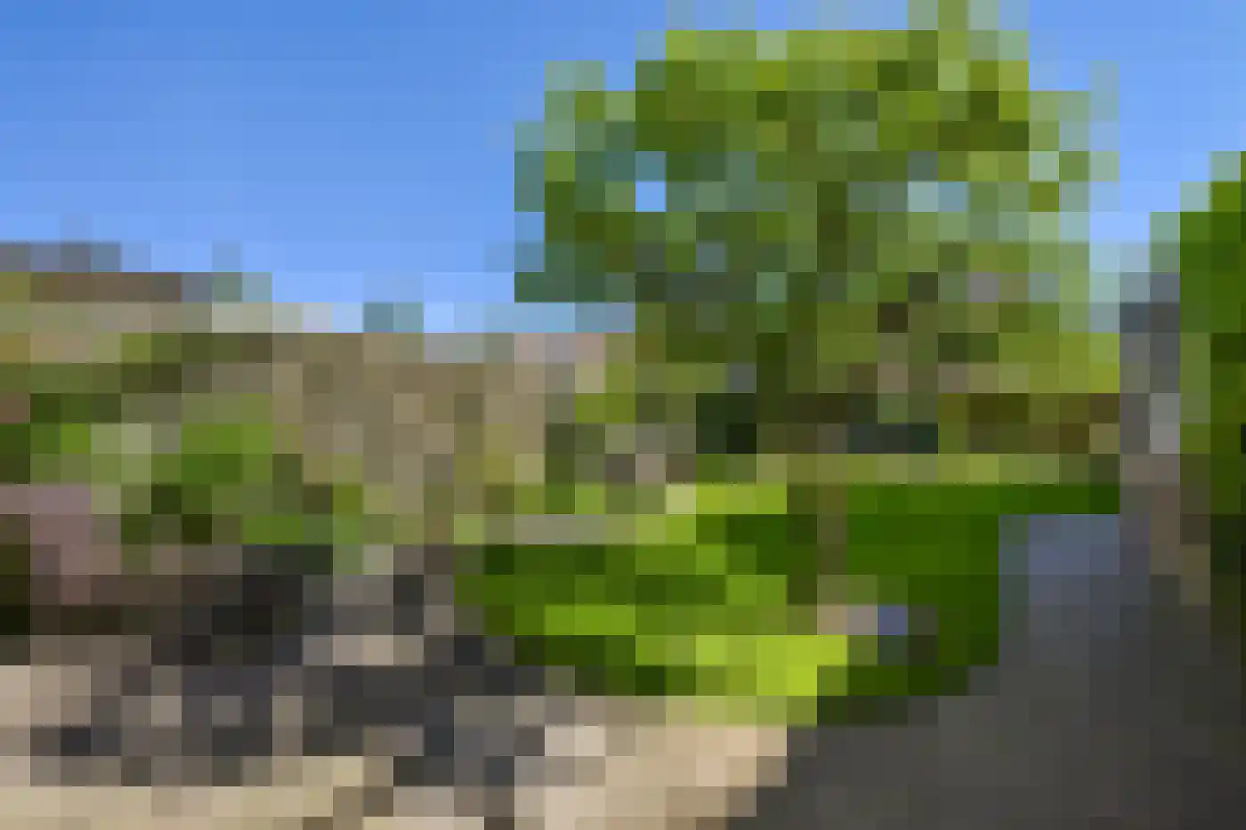 Het Bleekveld 22 Heiloo thumbnail 33