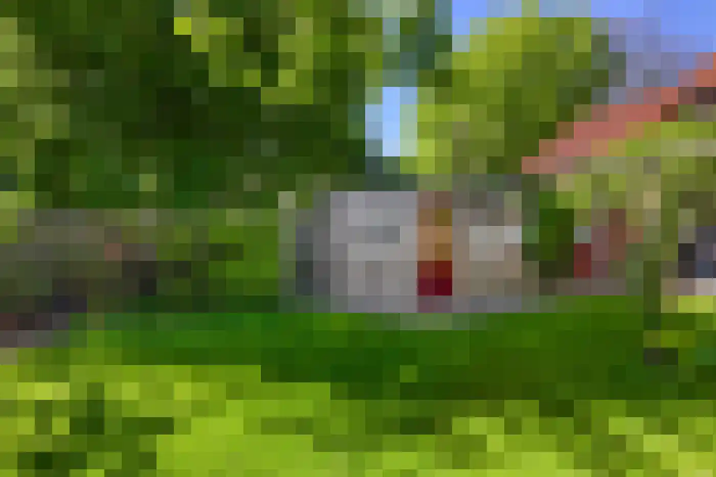 Het Bleekveld 22 Heiloo thumbnail 38