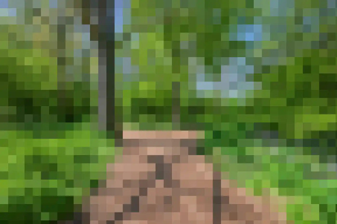 Het Bleekveld 22 Heiloo thumbnail 42