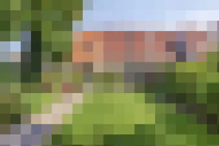 Het Bleekveld 23 Hardenberg thumbnail 31