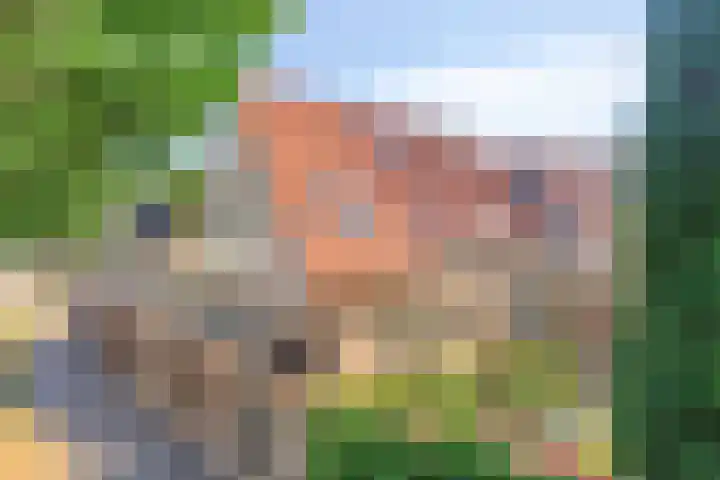 Het Bleekveld 23 Hardenberg thumbnail 32