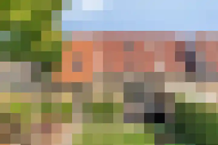 Het Bleekveld 23 Hardenberg thumbnail 33