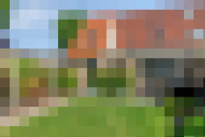Het Bleekveld 23 Hardenberg thumbnail 34