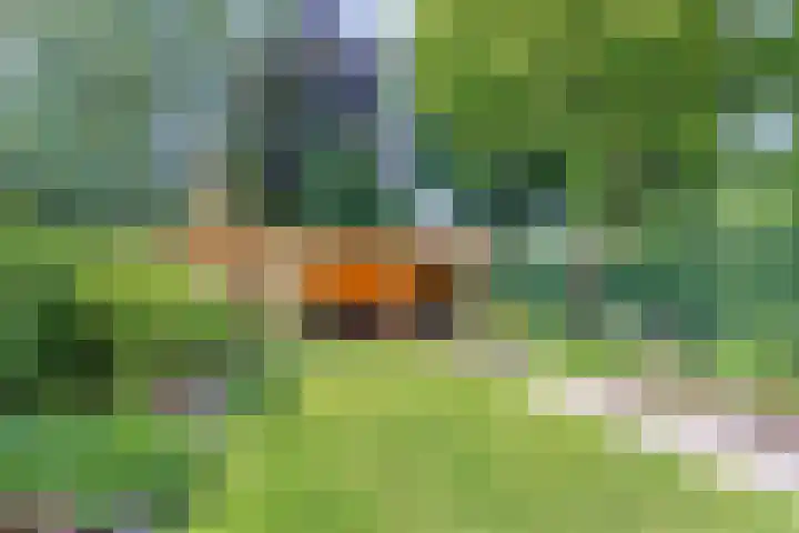 Het Bleekveld 23 Hardenberg thumbnail 35