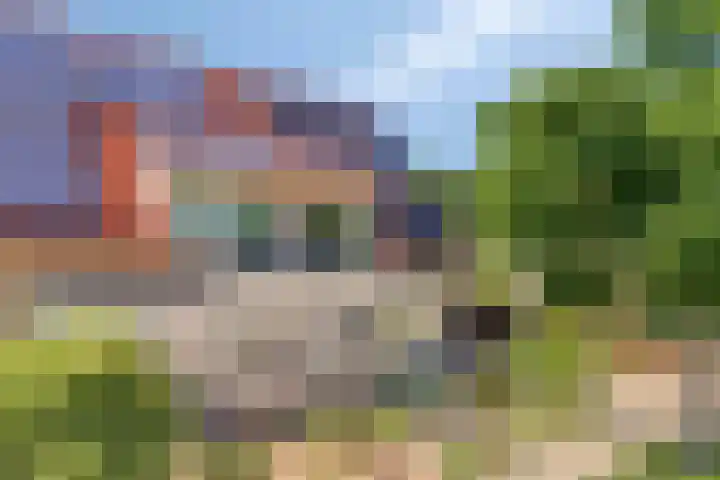 Het Bleekveld 23 Hardenberg thumbnail 38