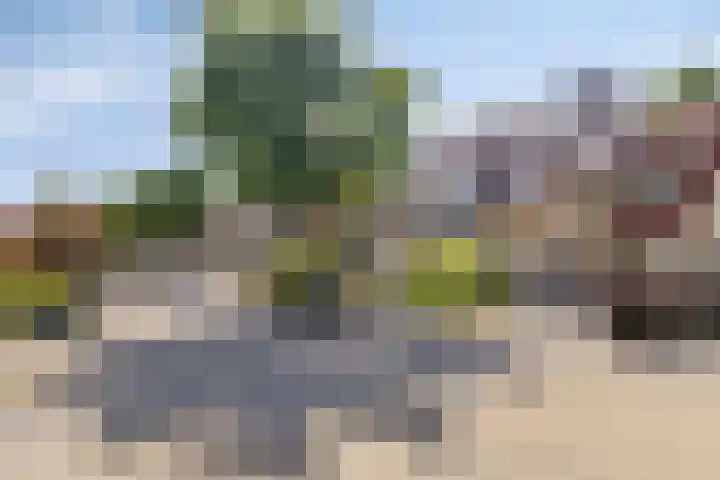 Het Bleekveld 23 Hardenberg thumbnail 39