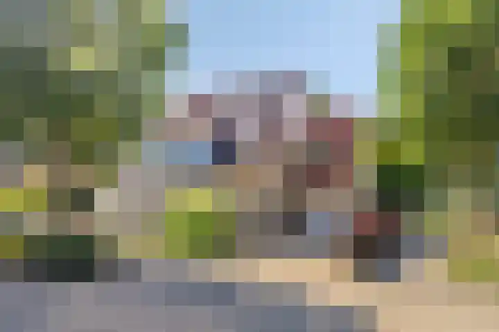 Het Bleekveld 23 Hardenberg thumbnail 4