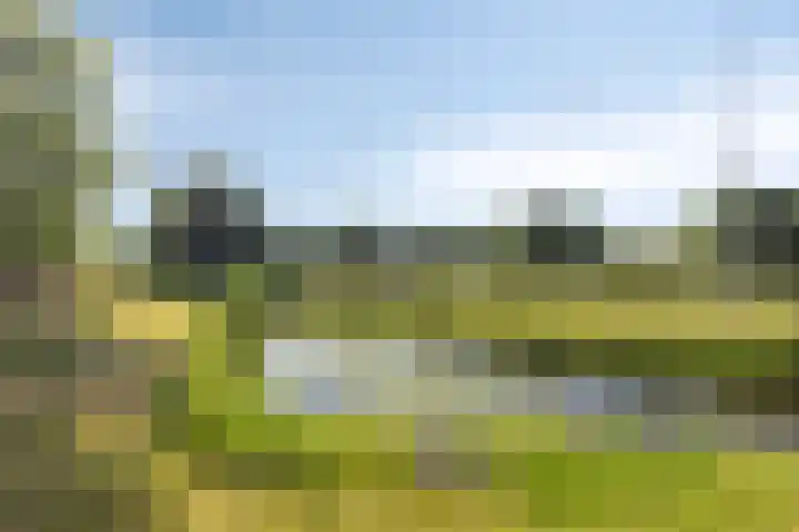 Het Bleekveld 23 Hardenberg thumbnail 40