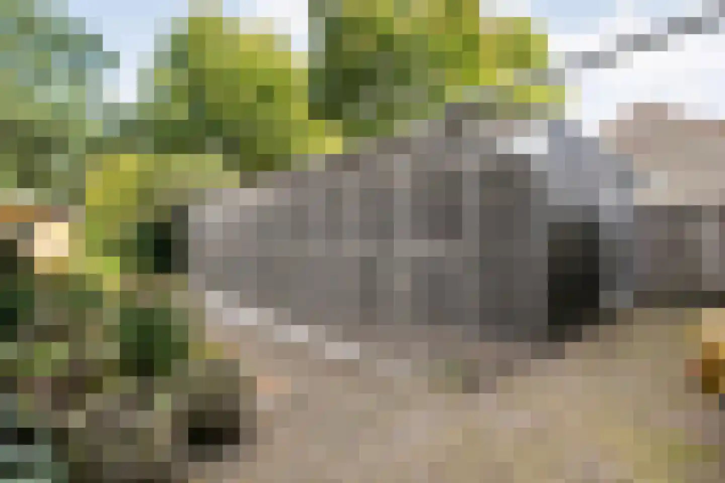 Het Bleekveld 39 Hardenberg thumbnail 46