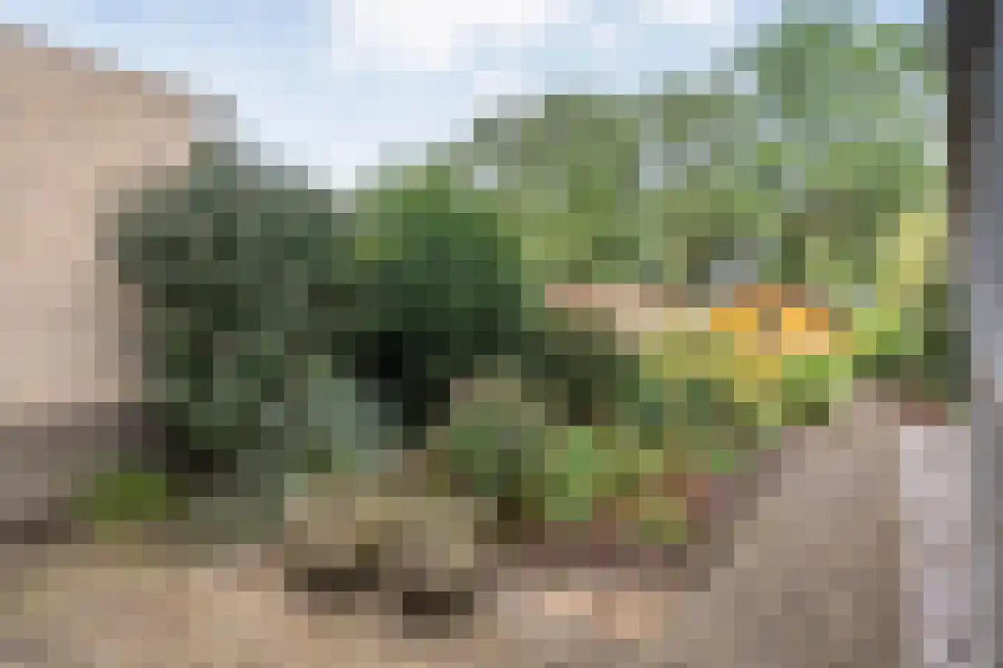 Het Bleekveld 39 Hardenberg thumbnail 47