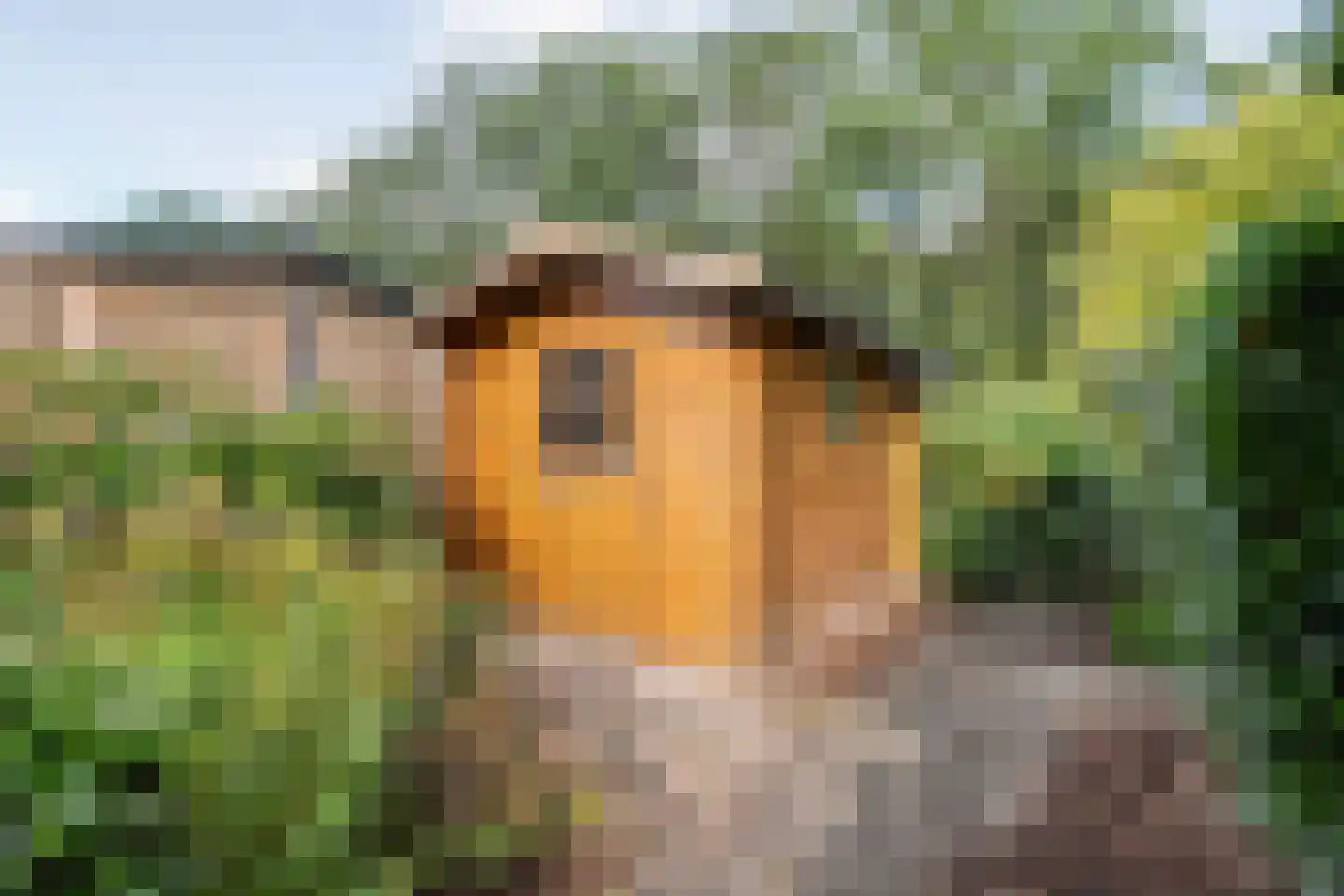 Het Bleekveld 39 Hardenberg thumbnail 48