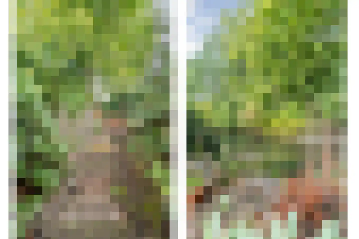 Het Bleekveld 39 Hardenberg thumbnail 49