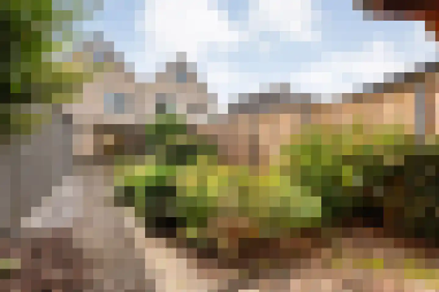 Het Bleekveld 39 Hardenberg thumbnail 50