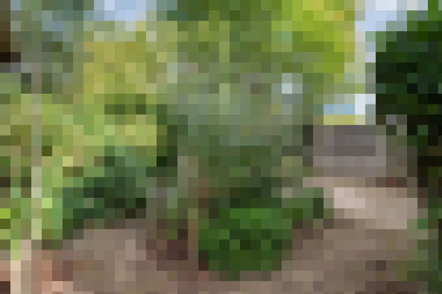 Het Bleekveld 39 Hardenberg thumbnail 54