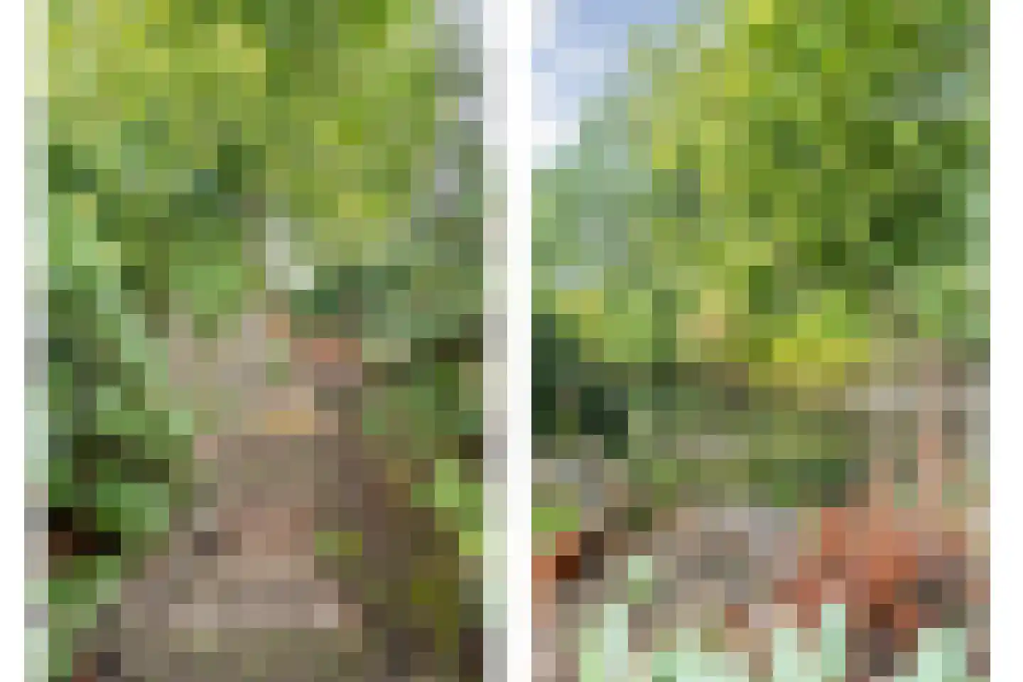 Het Bleekveld 39 Hardenberg thumbnail 8