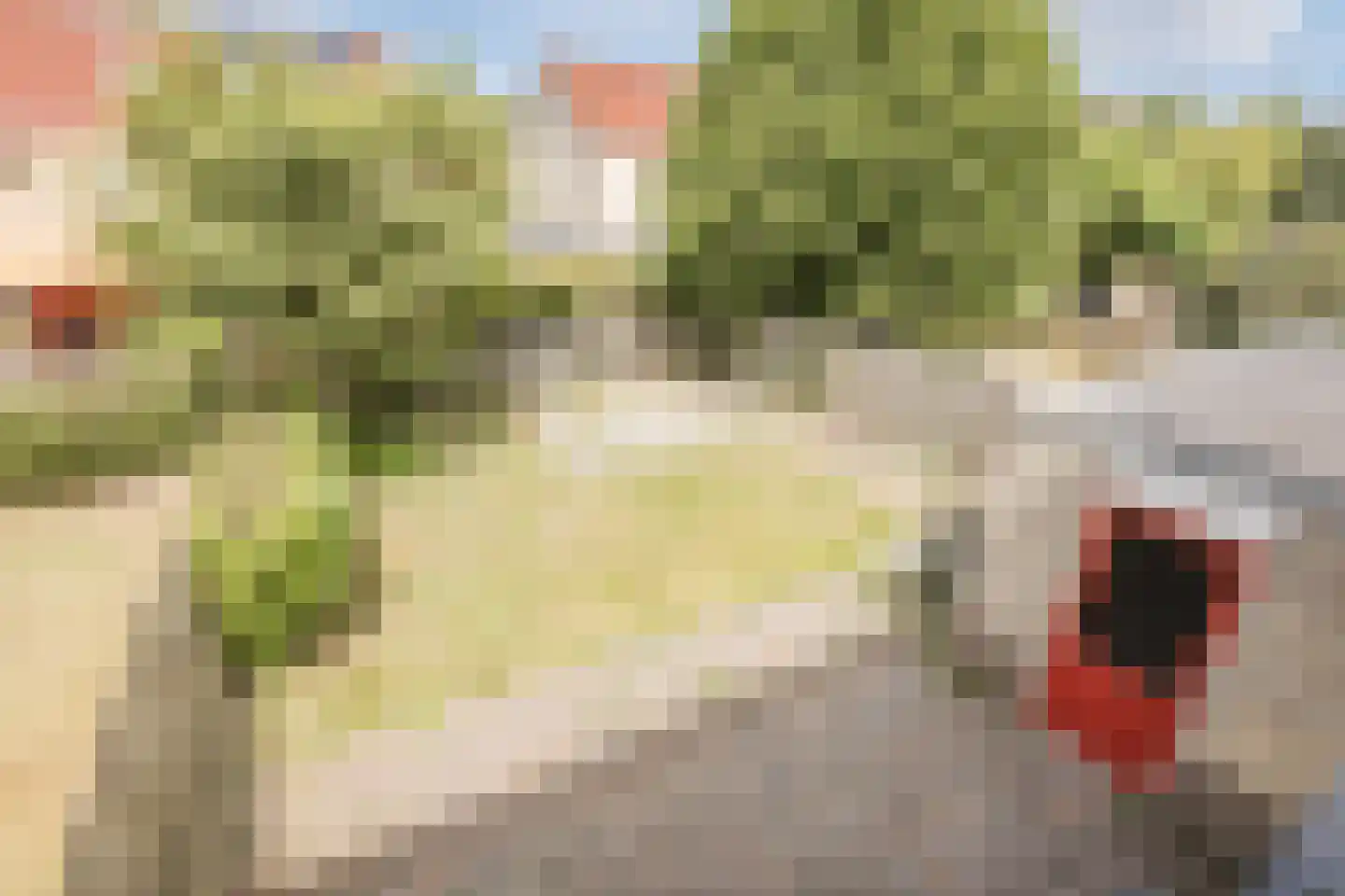 Het Bleekveld 43 Hardenberg thumbnail 25