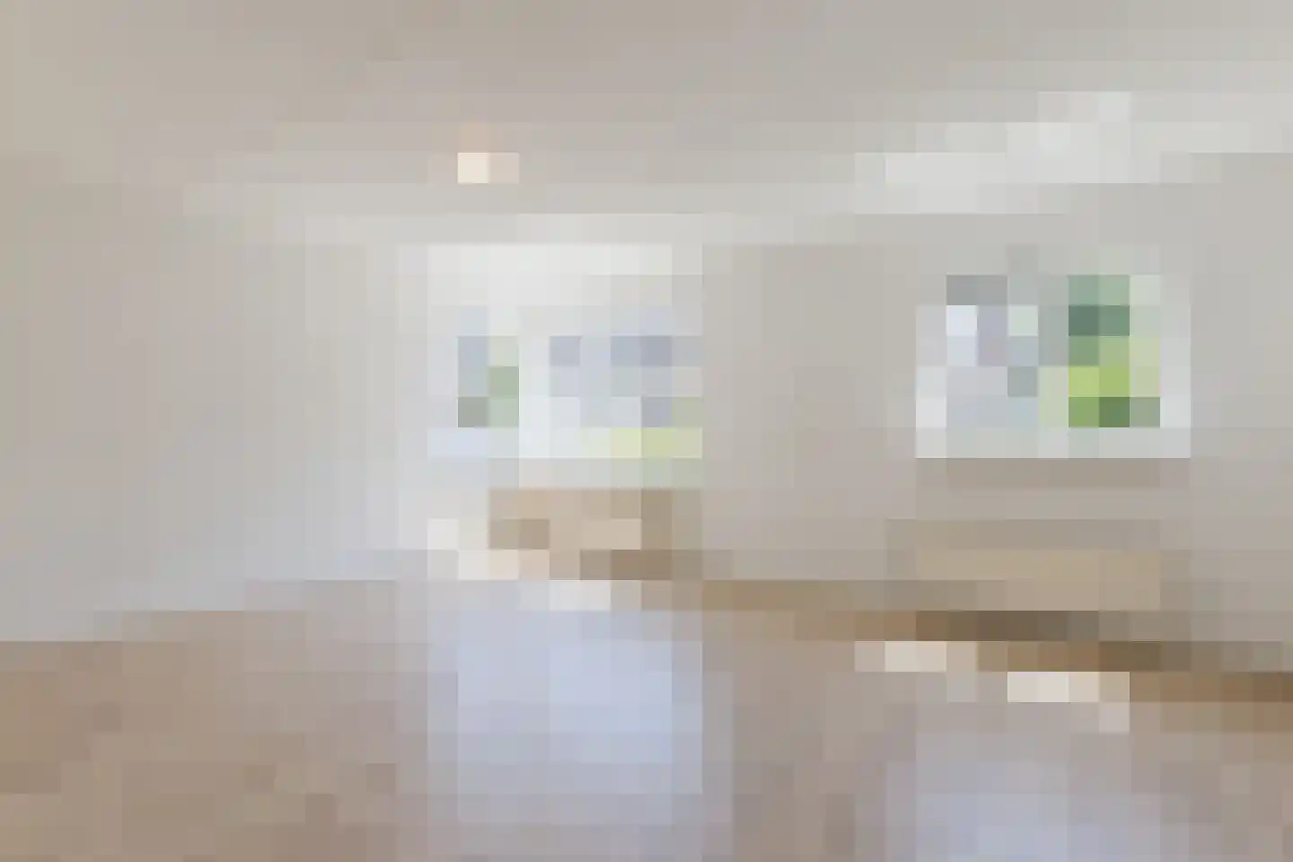 Het Bleekveld 43 Hardenberg thumbnail 4