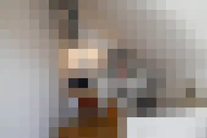 het Bleekveld 5 Oostwold thumbnail 36
