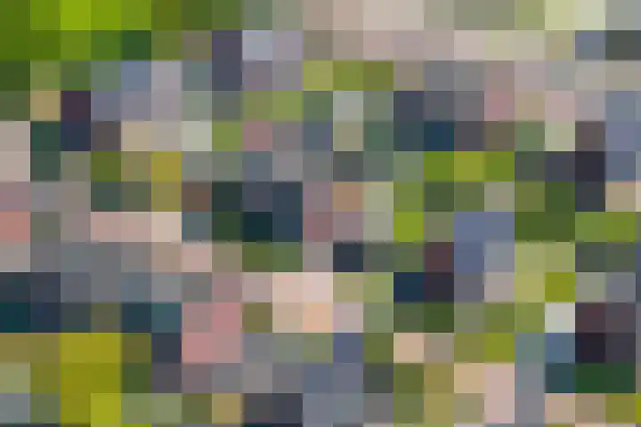 het Bleekveld 5 Oostwold thumbnail 61