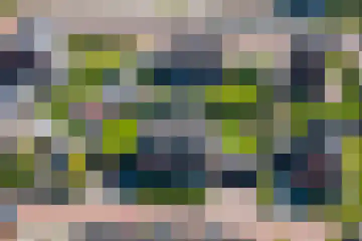 het Bleekveld 5 Oostwold thumbnail 64
