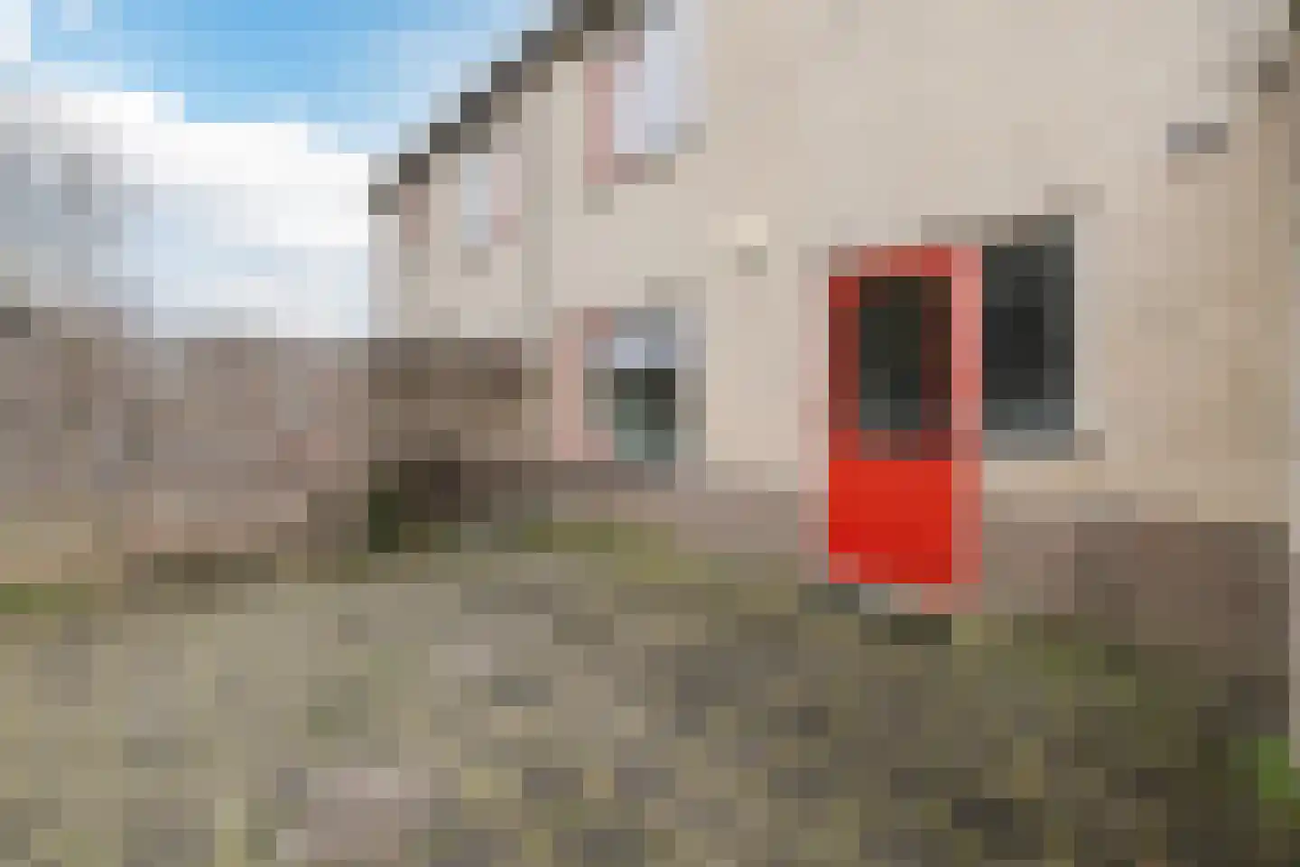 Het Bleekveld 53 Hardenberg thumbnail 35