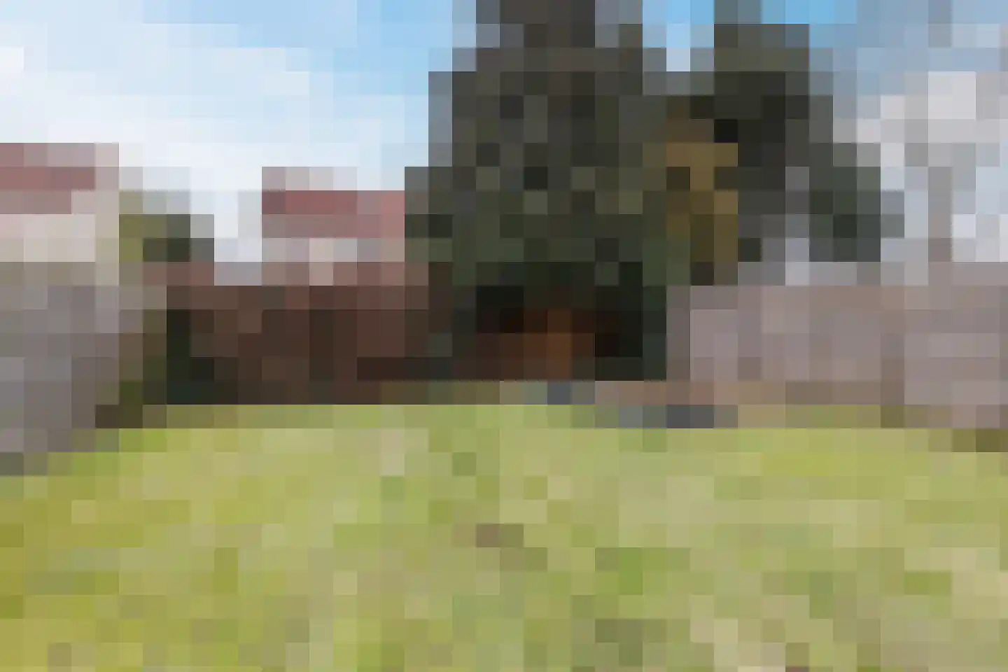 Het Bleekveld 53 Hardenberg thumbnail 37
