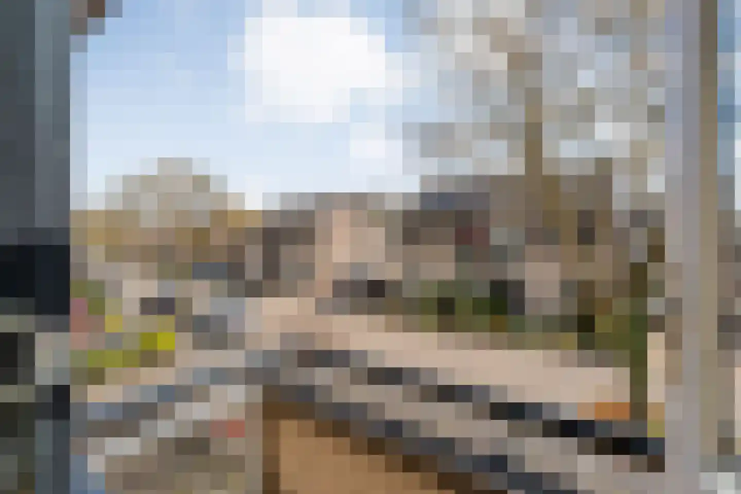 Het Bleekveld 7 Hardenberg thumbnail 40