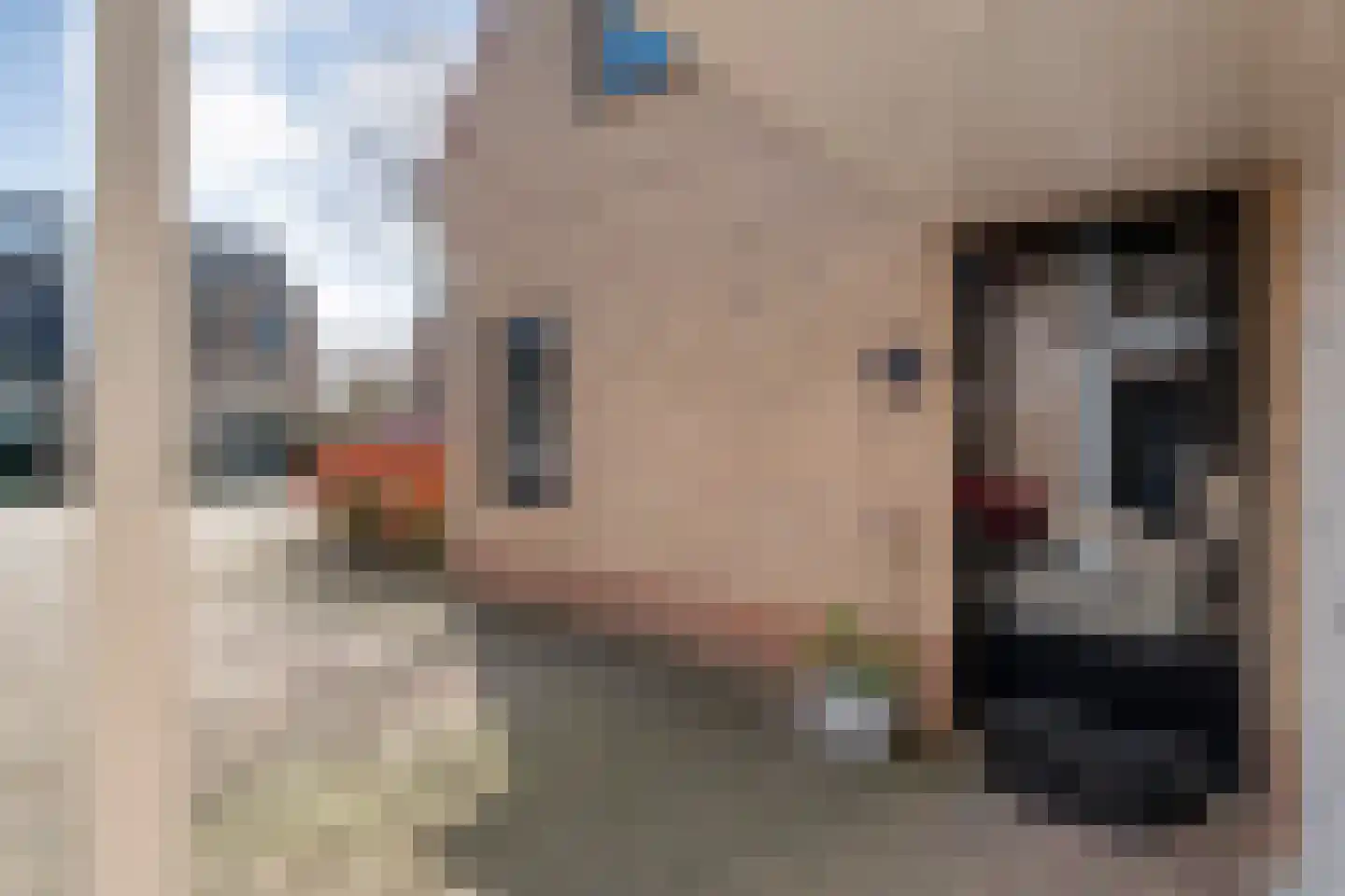 Het Bleekveld 7 Hardenberg thumbnail 5