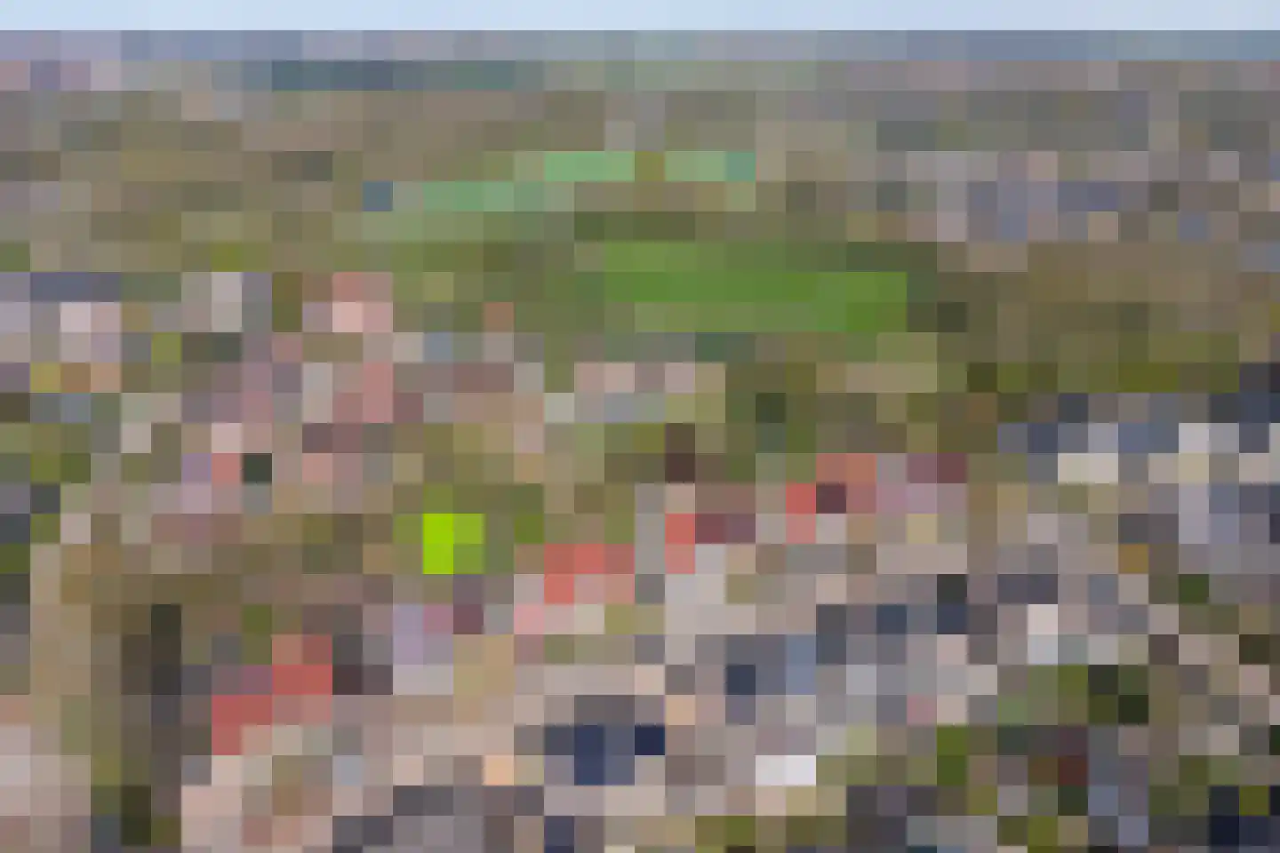 Het Bleekveld 7 Hardenberg thumbnail 54