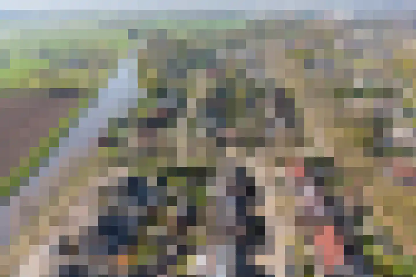 Het Bleekveld 7 Hardenberg thumbnail 55