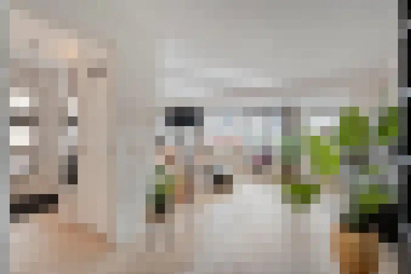 Het Bleekveld 7 Hardenberg thumbnail 8