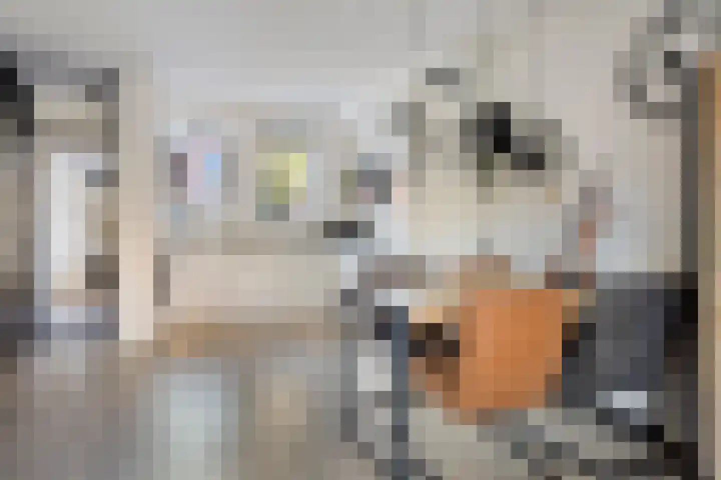 Het Blik 106 Groenlo thumbnail 13