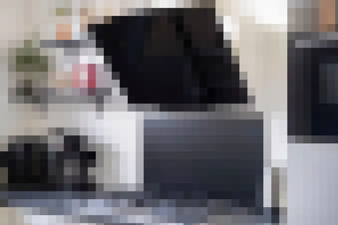 Het Blik 106 Groenlo thumbnail 17